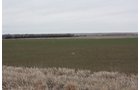 Property photo 40 - Kansas Land Auction - 960 Acres - 7 Farms in 3 Counties